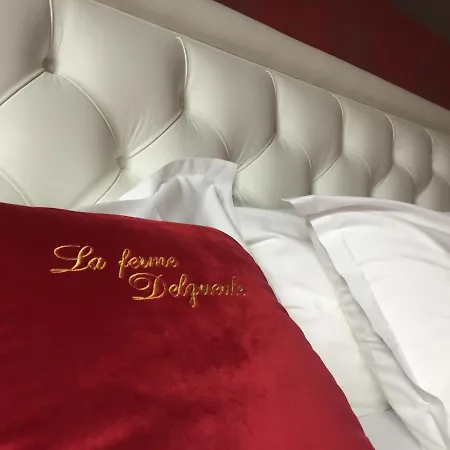 Ferme Delgueule 酒店 3*