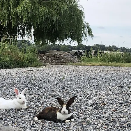 Ferme Delgueule 图尔奈