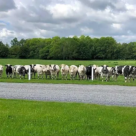 Ferme Delgueule מלון טורנאי