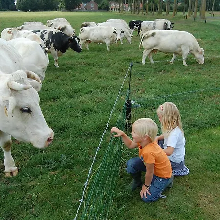 Ferme Delgueule 酒店 3*