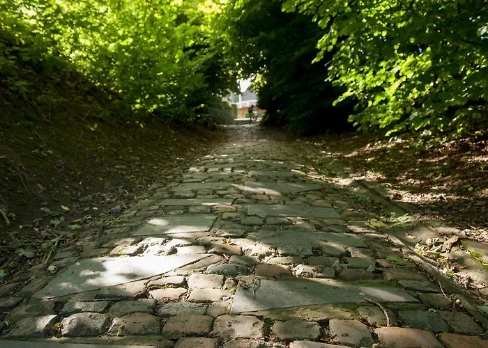 Ferme Delgueule Tournai